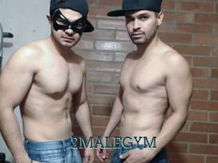 2MALEGYM