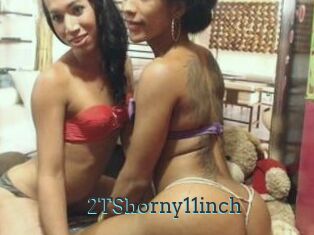 2TShorny11inch