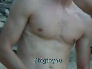 2bigtoy4u