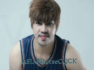 ASIANhorseCQCK