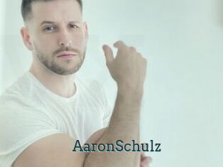 AaronSchulz