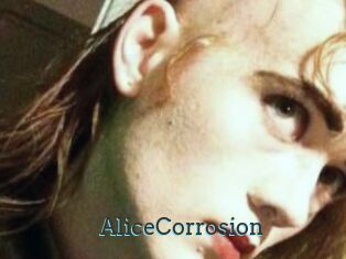 AliceCorrosion