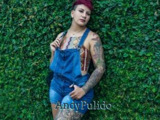 AndyPulido
