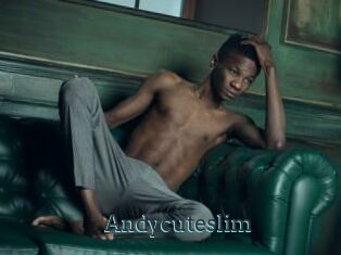 Andycuteslim