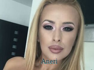 Aneri