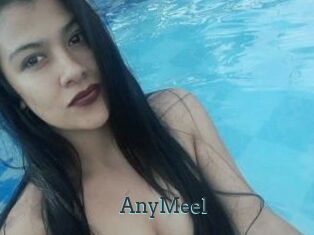 AnyMeel