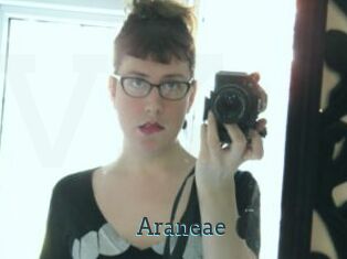 Araneae