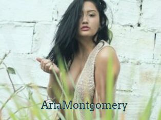 AriaMontgomery