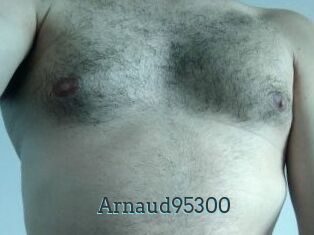 Arnaud95300