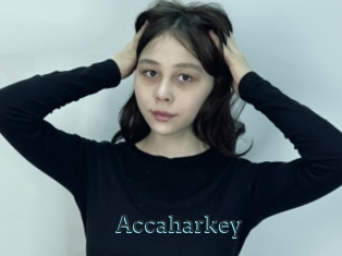 Accaharkey