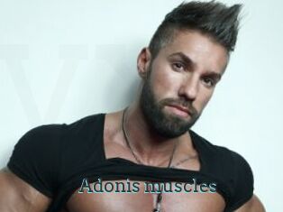 Adonis_muscles