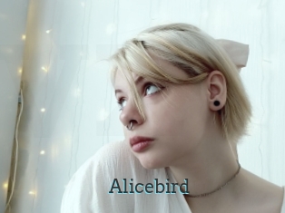 Alicebird