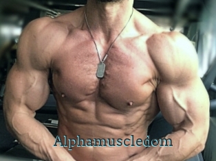 Alphamuscledom