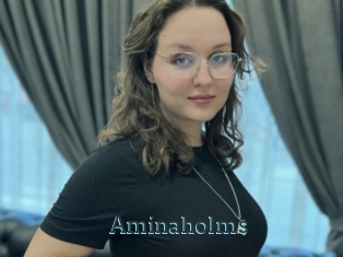 Aminaholms