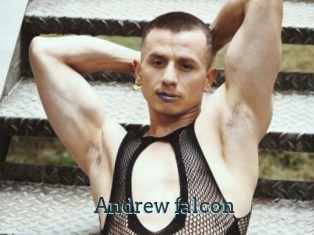 Andrew_falcon