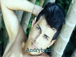 Andrybrazil