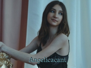 Angelicacant
