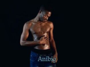 Anibig