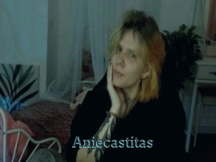 Aniecastitas