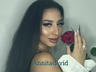Annitadavid