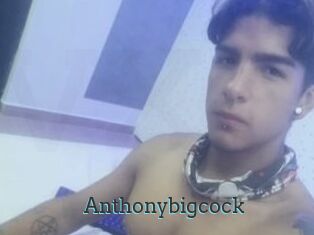 Anthonybigcock