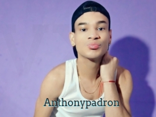 Anthonypadron
