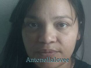 Antonellalovee