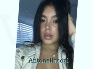Antonellasoul