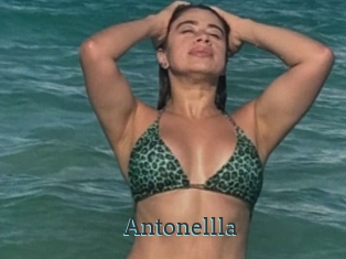 Antonellla