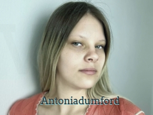 Antoniadumford