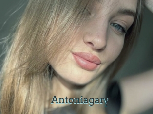 Antoniagary
