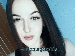 Antoniagrimble