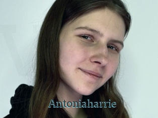 Antoniaharrie
