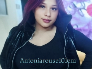 Antoniarouse101cm