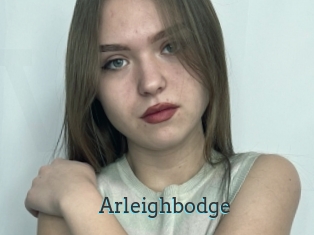 Arleighbodge