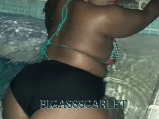 BIGASSSCARLET