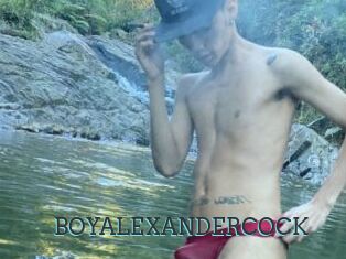 BOYALEXANDERCOCK