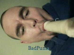 BadPuma