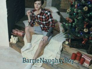 BarrieNaughtyBoy