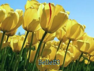 BelleB3