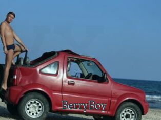 BerryBoy
