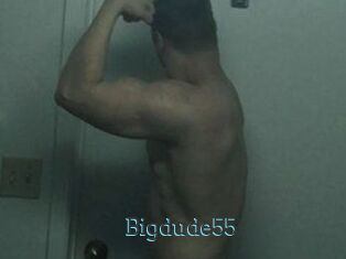 Bigdude55