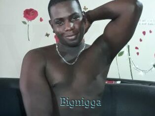 Bignigga