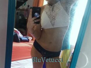BluVetucci