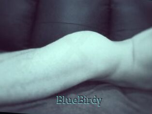 BlueBirdy
