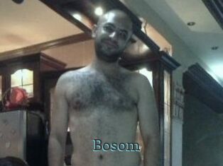 Bosom