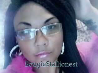 BougieStallionest
