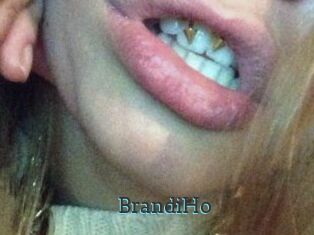 BrandiHo