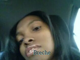Breche