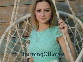 BurningOfLovee